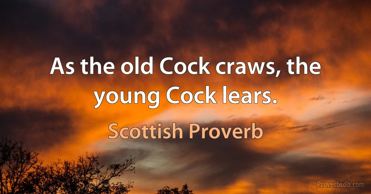 As the old Cock craws, the young Cock lears. (Scottish Proverb)