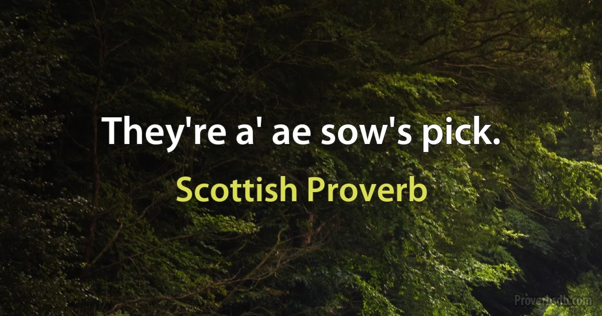 They're a' ae sow's pick. (Scottish Proverb)