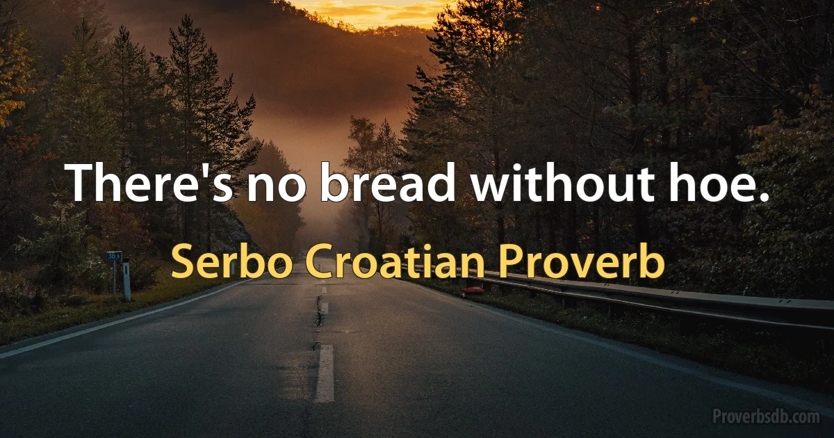 There's no bread without hoe. (Serbo Croatian Proverb)