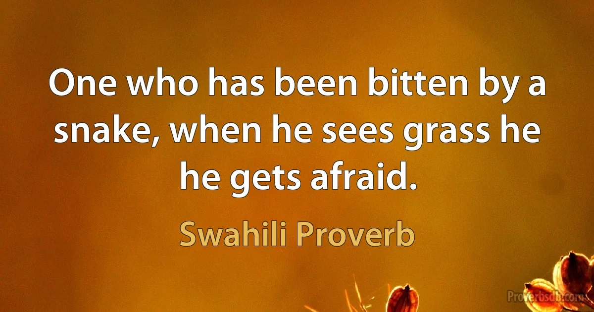 One who has been bitten by a snake, when he sees grass he he gets afraid. (Swahili Proverb)