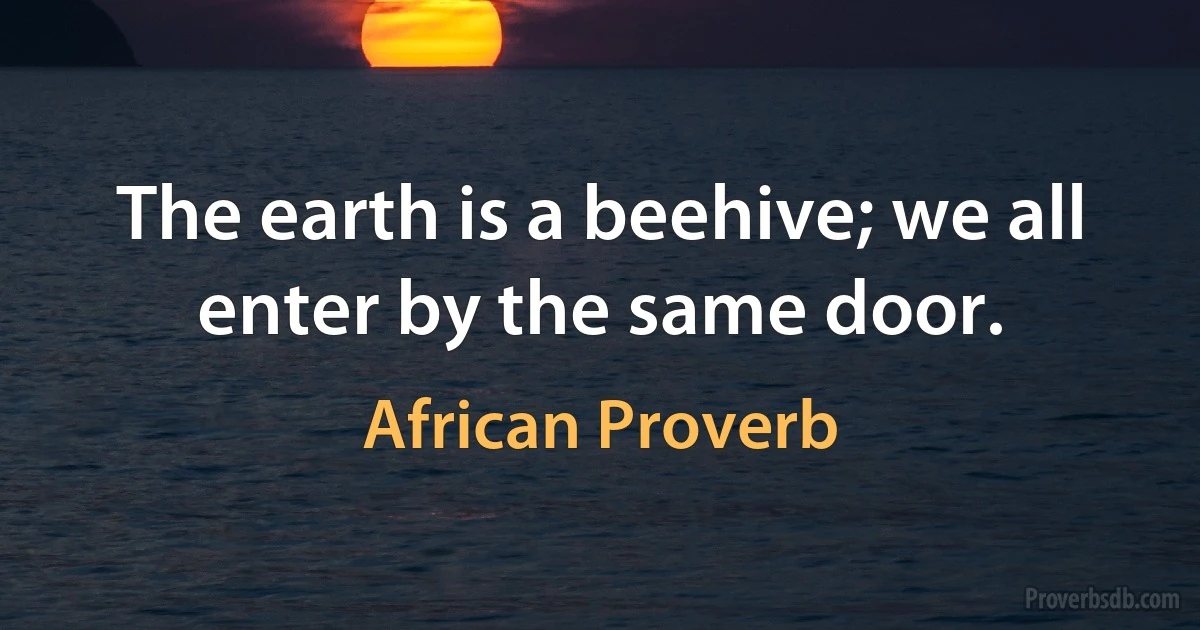 The earth is a beehive; we all enter by the same door. (African Proverb)