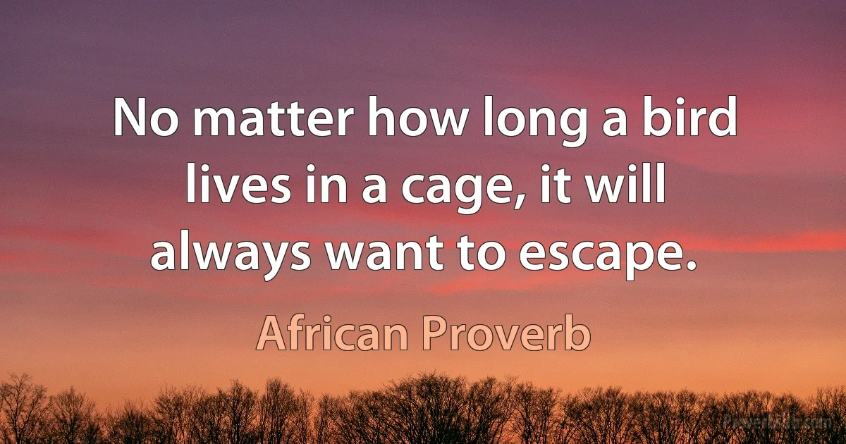 No matter how long a bird lives in a cage, it will always want to escape. (African Proverb)