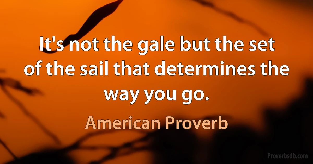 It's not the gale but the set of the sail that determines the way you go. (American Proverb)