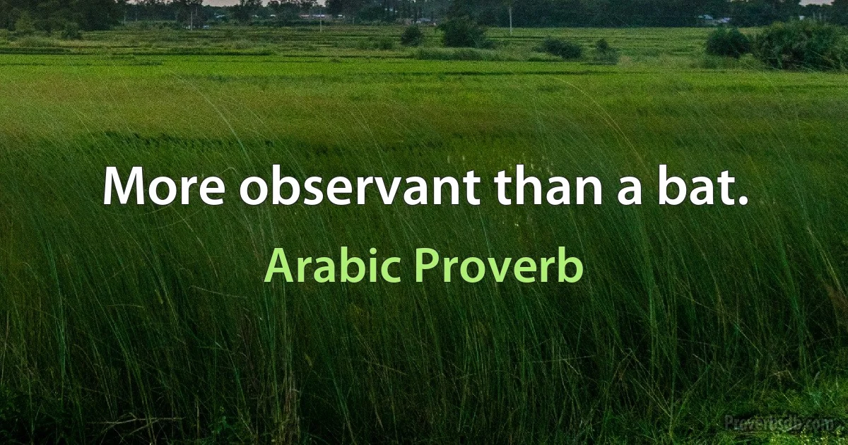 More observant than a bat. (Arabic Proverb)