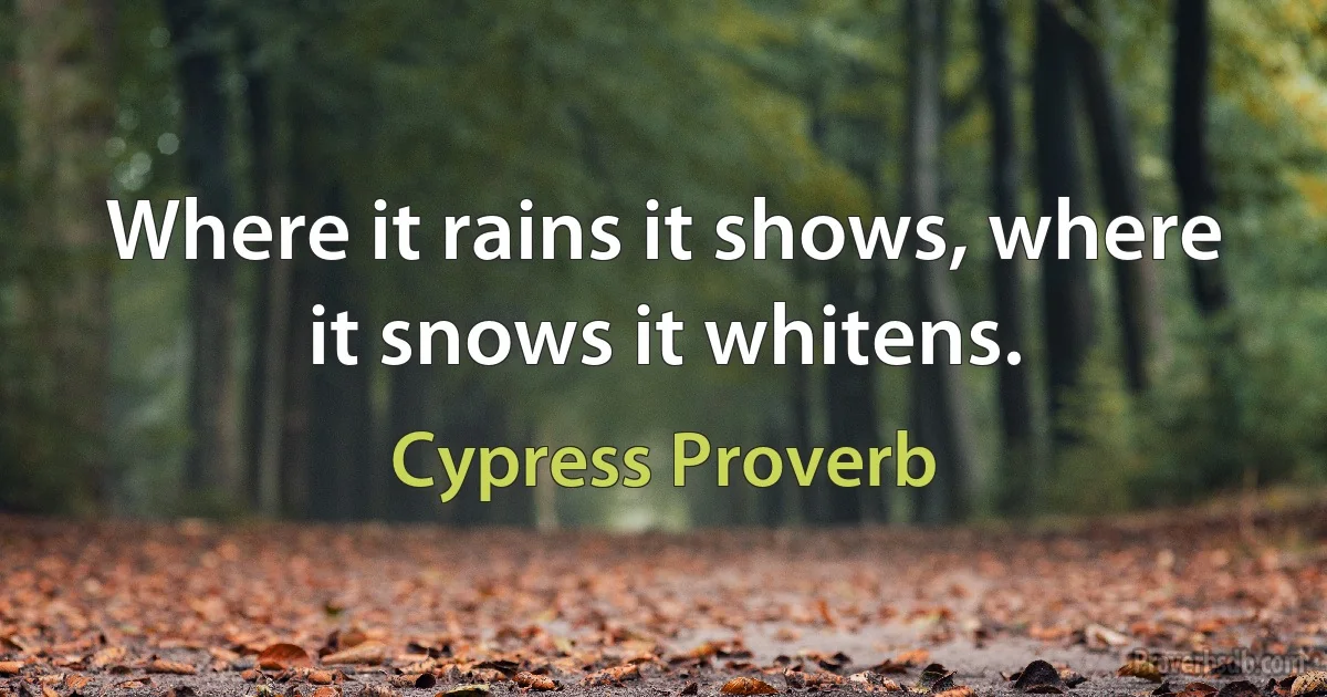 Where it rains it shows, where it snows it whitens. (Cypress Proverb)