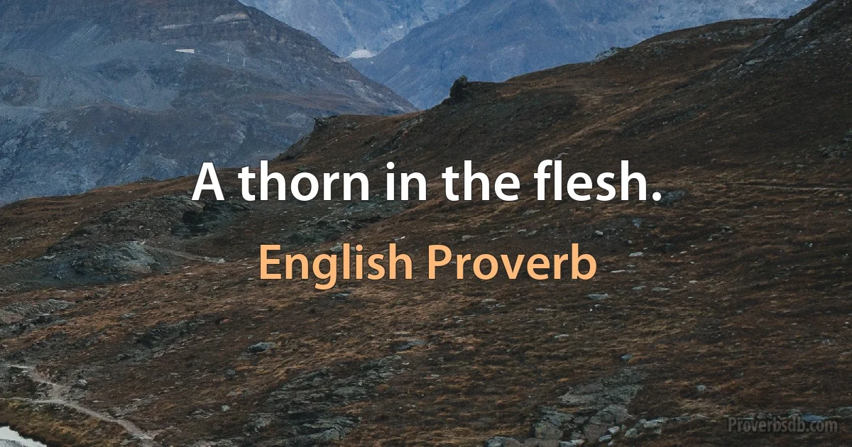 A thorn in the flesh. (English Proverb)