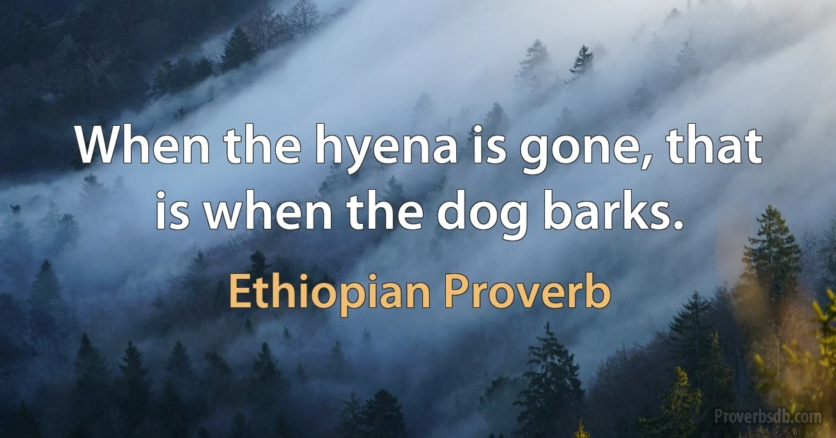 When the hyena is gone, that is when the dog barks. (Ethiopian Proverb)