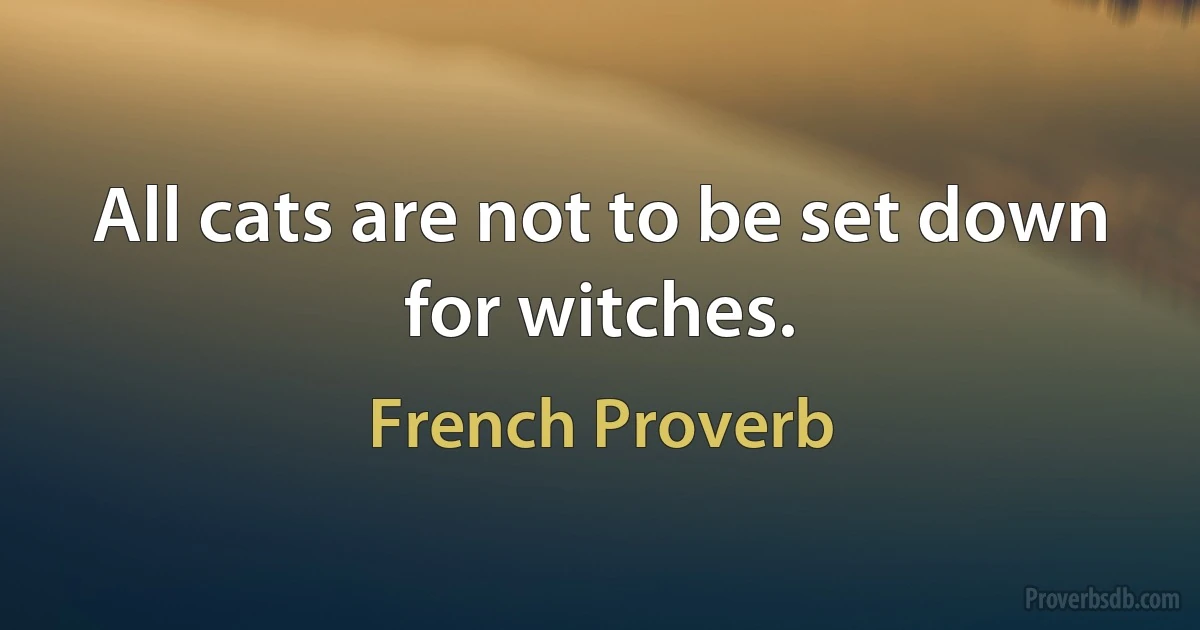 All cats are not to be set down for witches. (French Proverb)