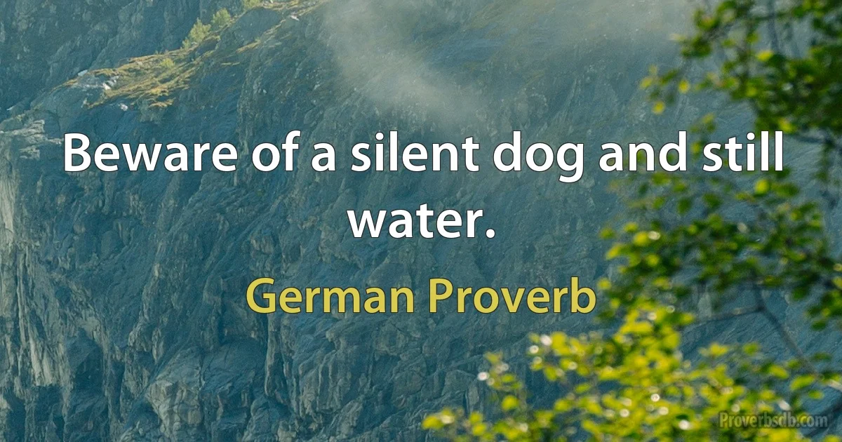 Beware of a silent dog and still water. (German Proverb)