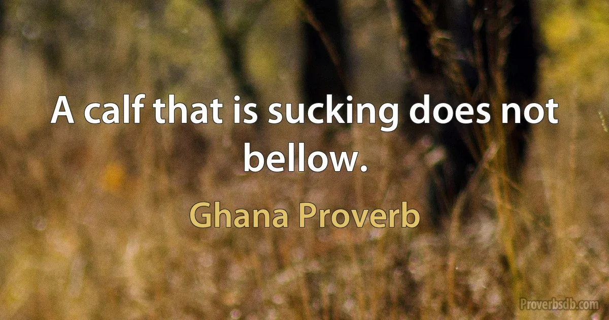 A calf that is sucking does not bellow. (Ghana Proverb)