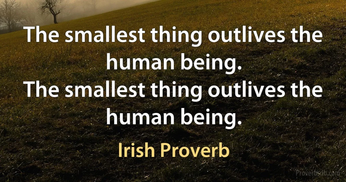 The smallest thing outlives the human being.
The smallest thing outlives the human being. (Irish Proverb)