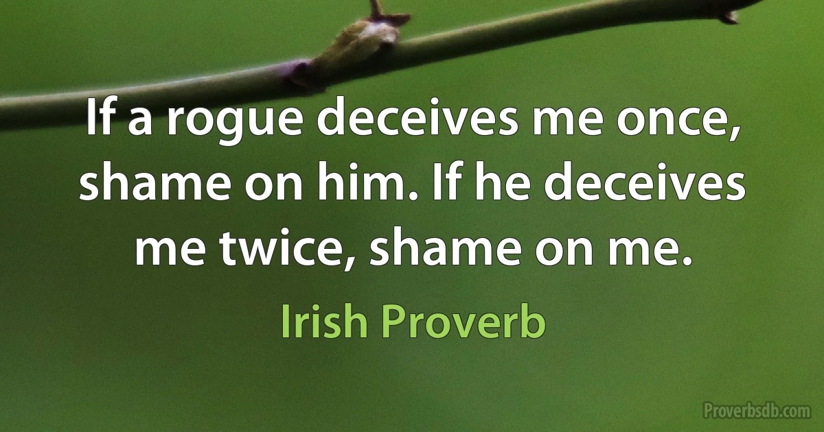 If a rogue deceives me once, shame on him. If he deceives me twice, shame on me. (Irish Proverb)