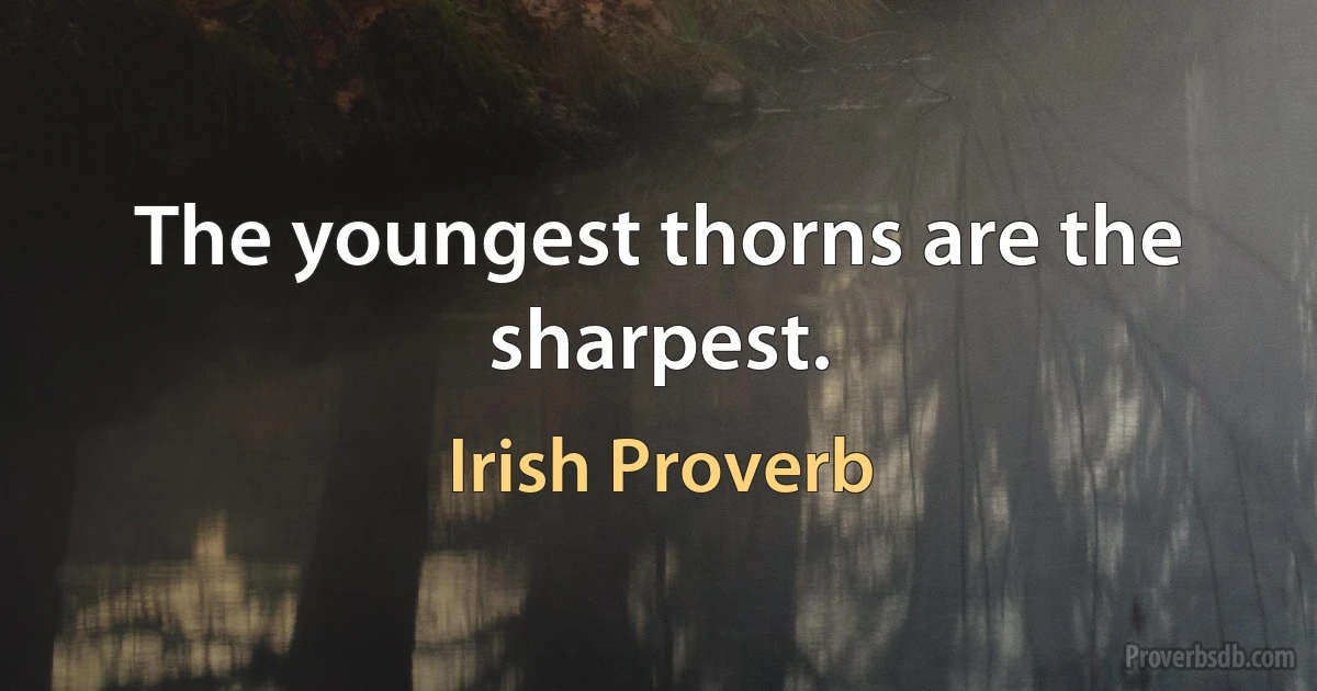 The youngest thorns are the sharpest. (Irish Proverb)