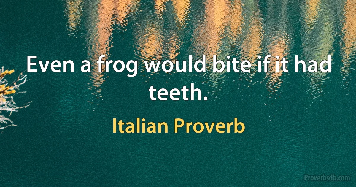 Even a frog would bite if it had teeth. (Italian Proverb)