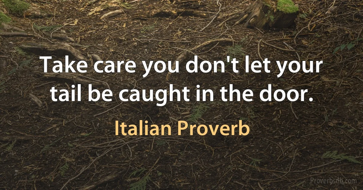 Take care you don't let your tail be caught in the door. (Italian Proverb)