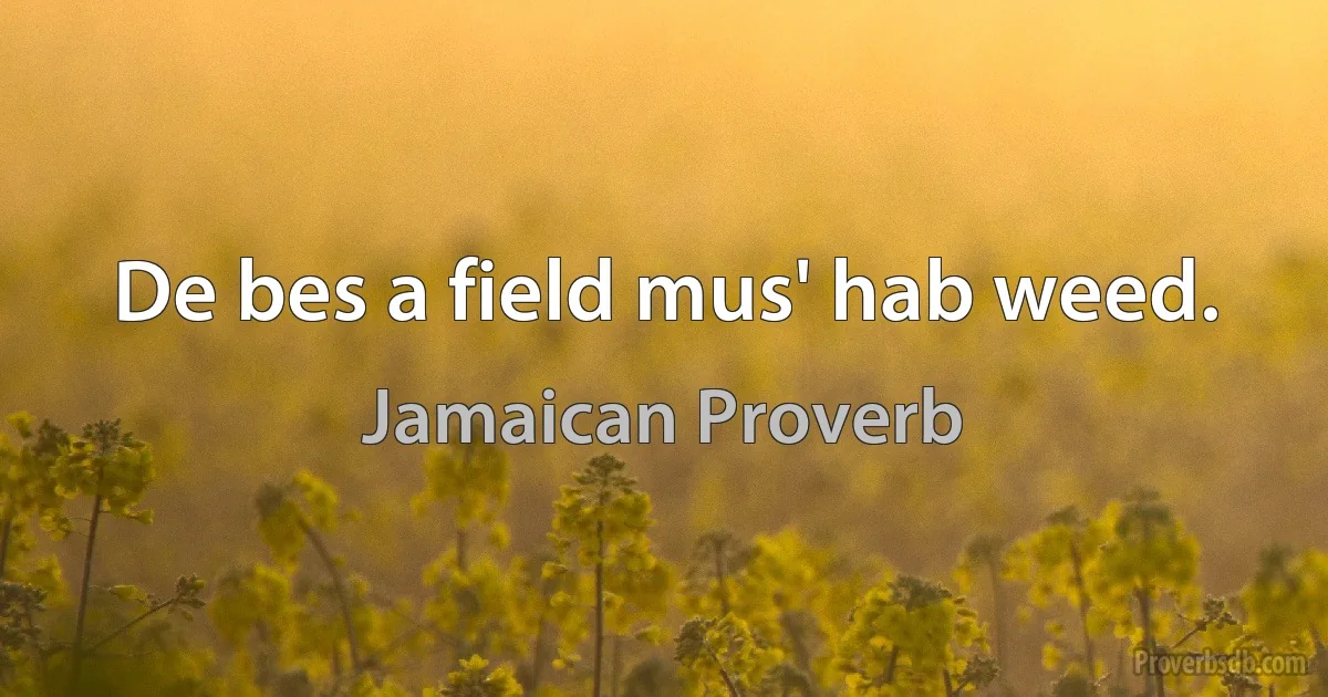 De bes a field mus' hab weed. (Jamaican Proverb)