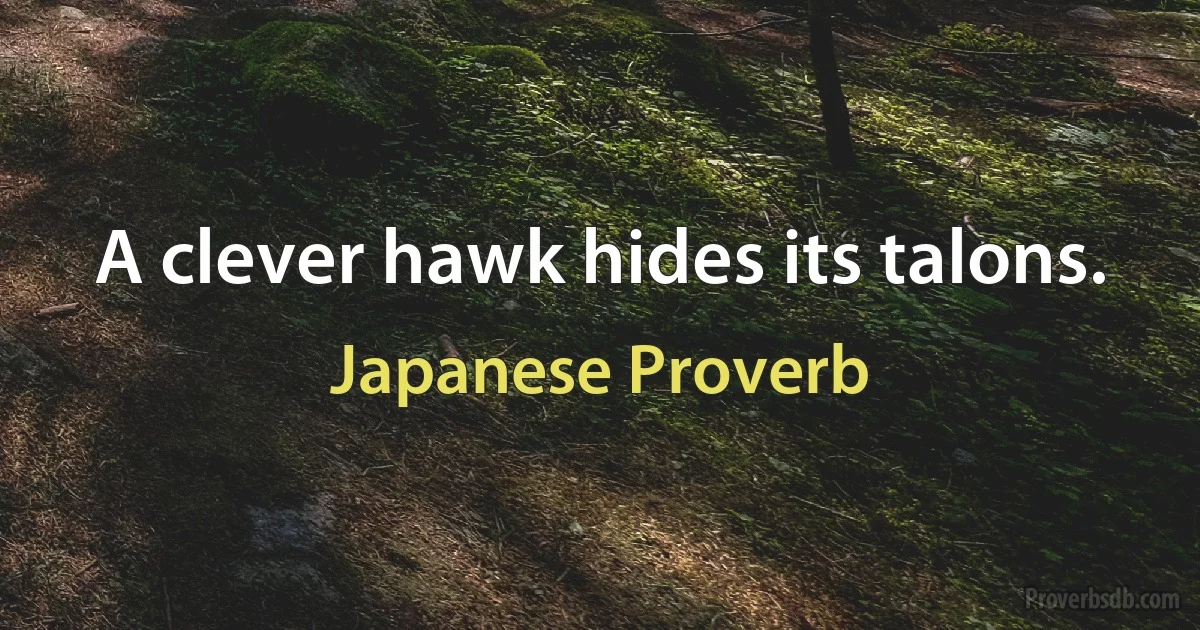 A clever hawk hides its talons. (Japanese Proverb)