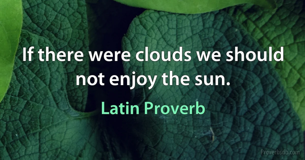 If there were clouds we should not enjoy the sun. (Latin Proverb)