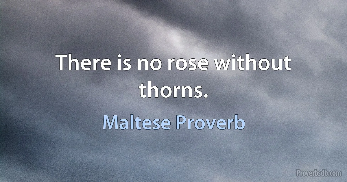 There is no rose without thorns. (Maltese Proverb)