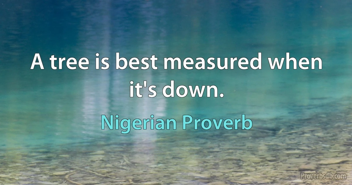 A tree is best measured when it's down. (Nigerian Proverb)