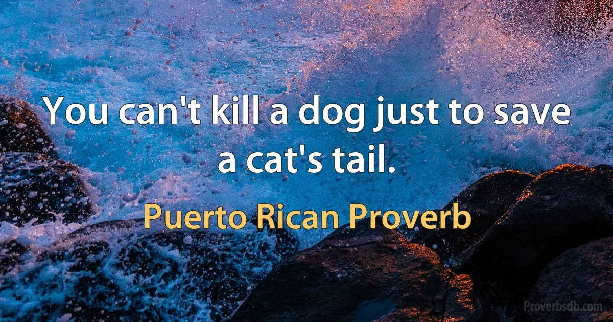 You can't kill a dog just to save a cat's tail. (Puerto Rican Proverb)