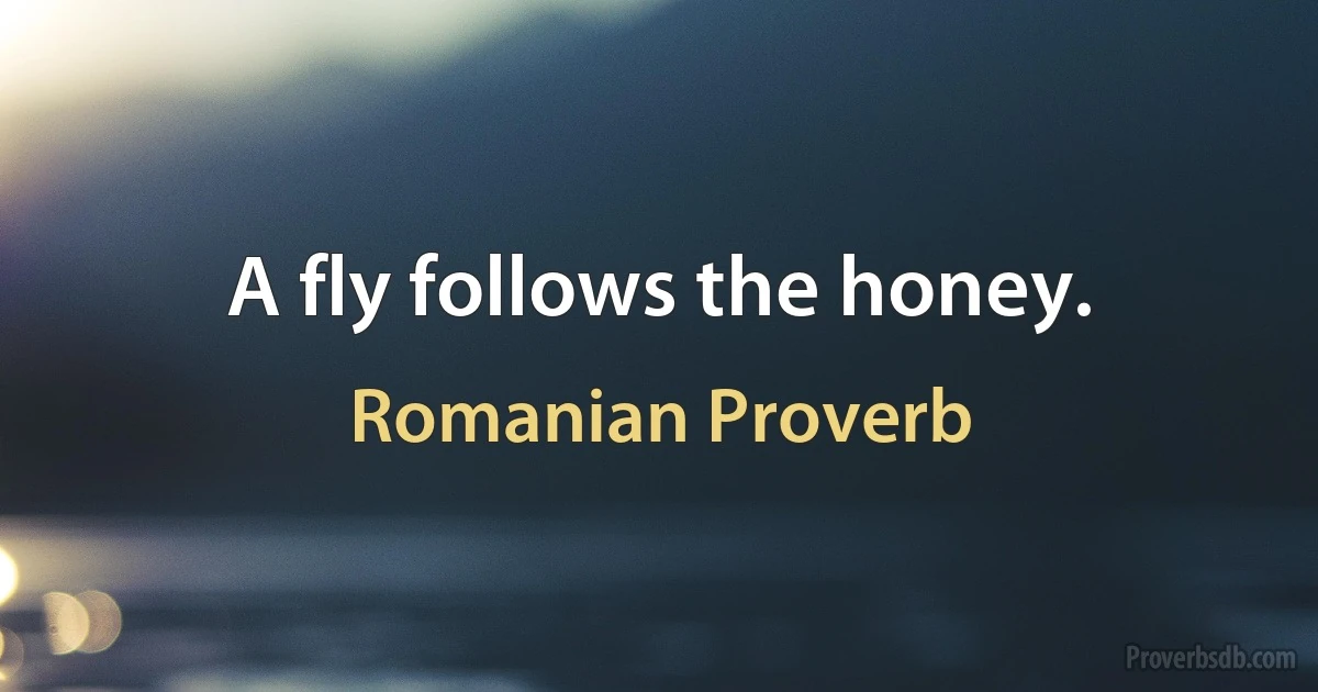 A fly follows the honey. (Romanian Proverb)