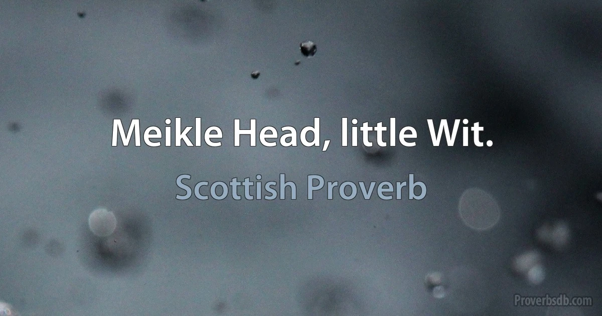 Meikle Head, little Wit. (Scottish Proverb)