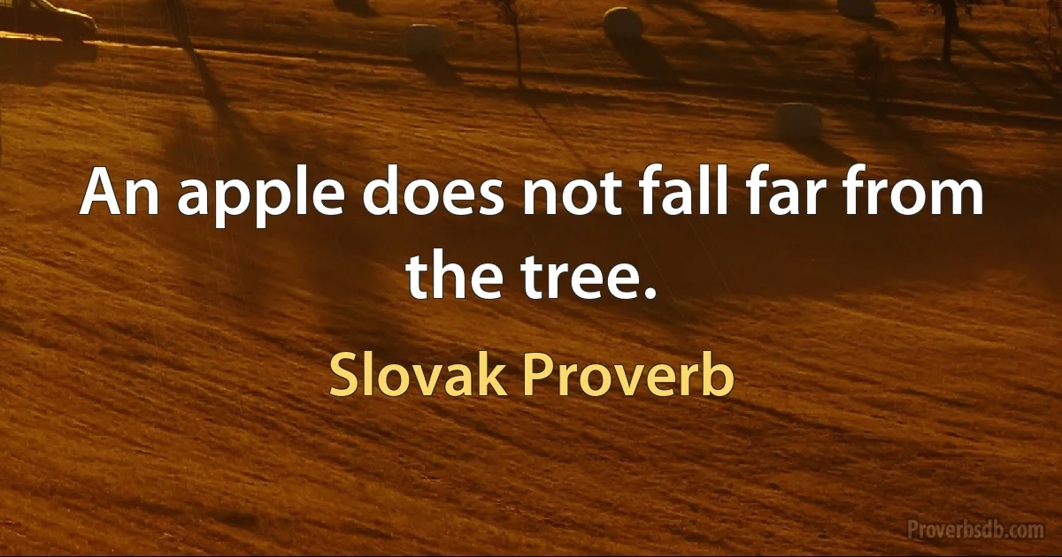 An apple does not fall far from the tree. (Slovak Proverb)