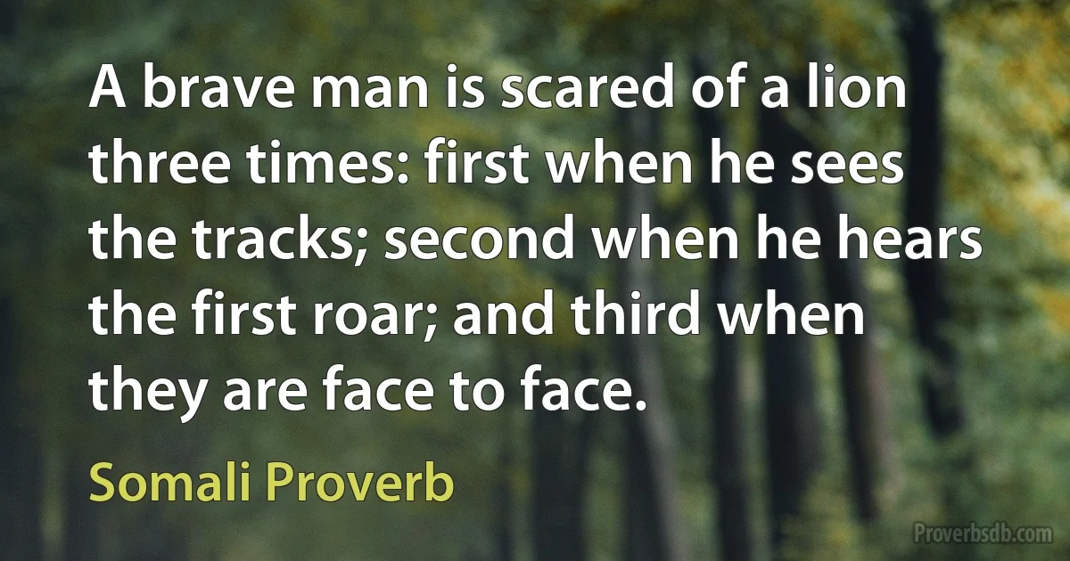 A brave man is scared of a lion three times: first when he sees the tracks; second when he hears the first roar; and third when they are face to face. (Somali Proverb)