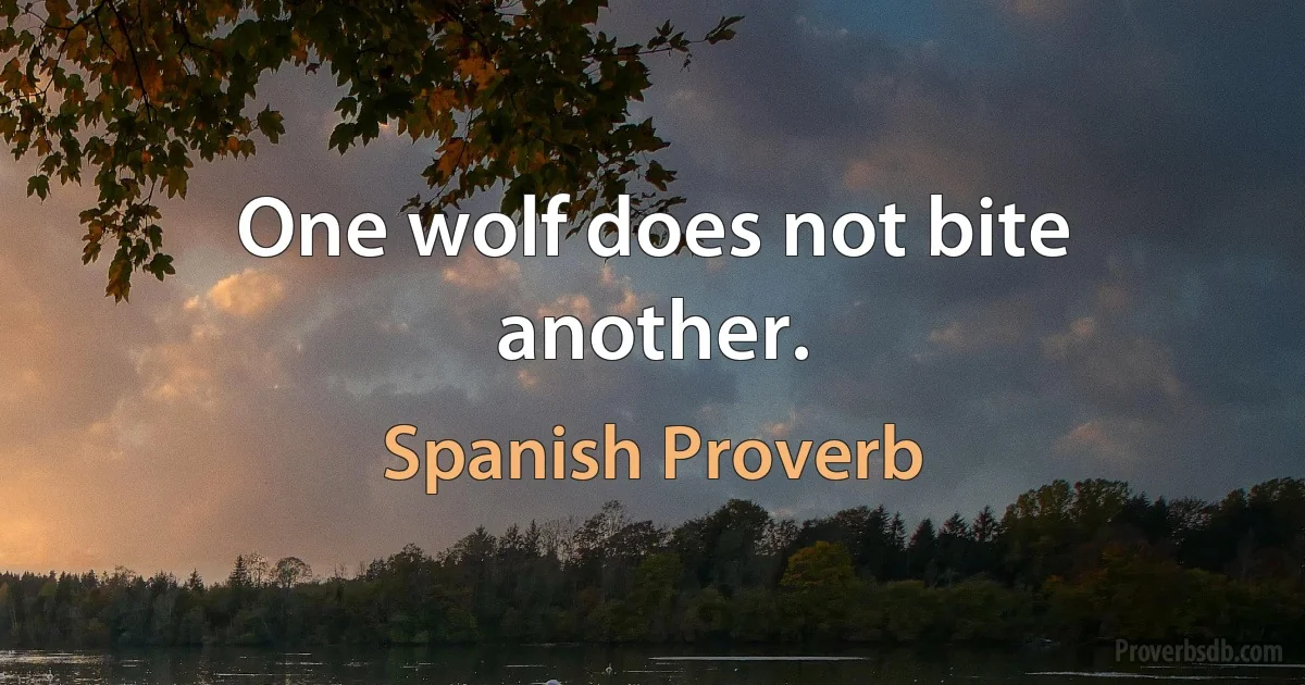 One wolf does not bite another. (Spanish Proverb)