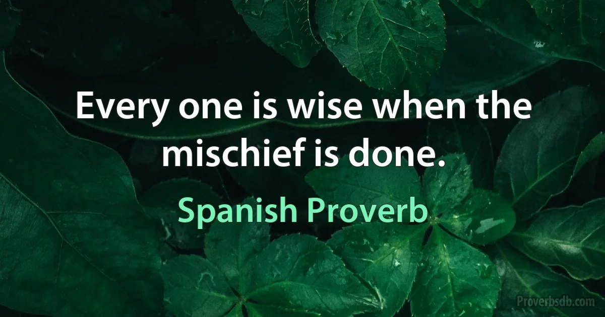 Every one is wise when the mischief is done. (Spanish Proverb)