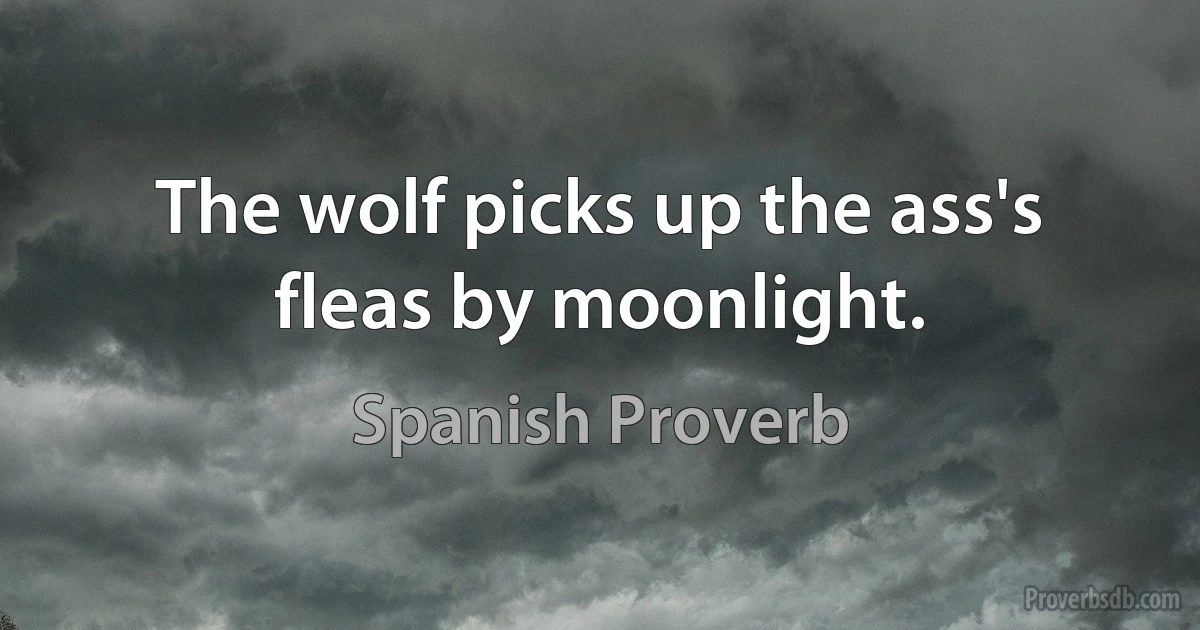 The wolf picks up the ass's fleas by moonlight. (Spanish Proverb)