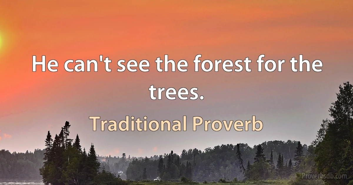 He can't see the forest for the trees. (Traditional Proverb)