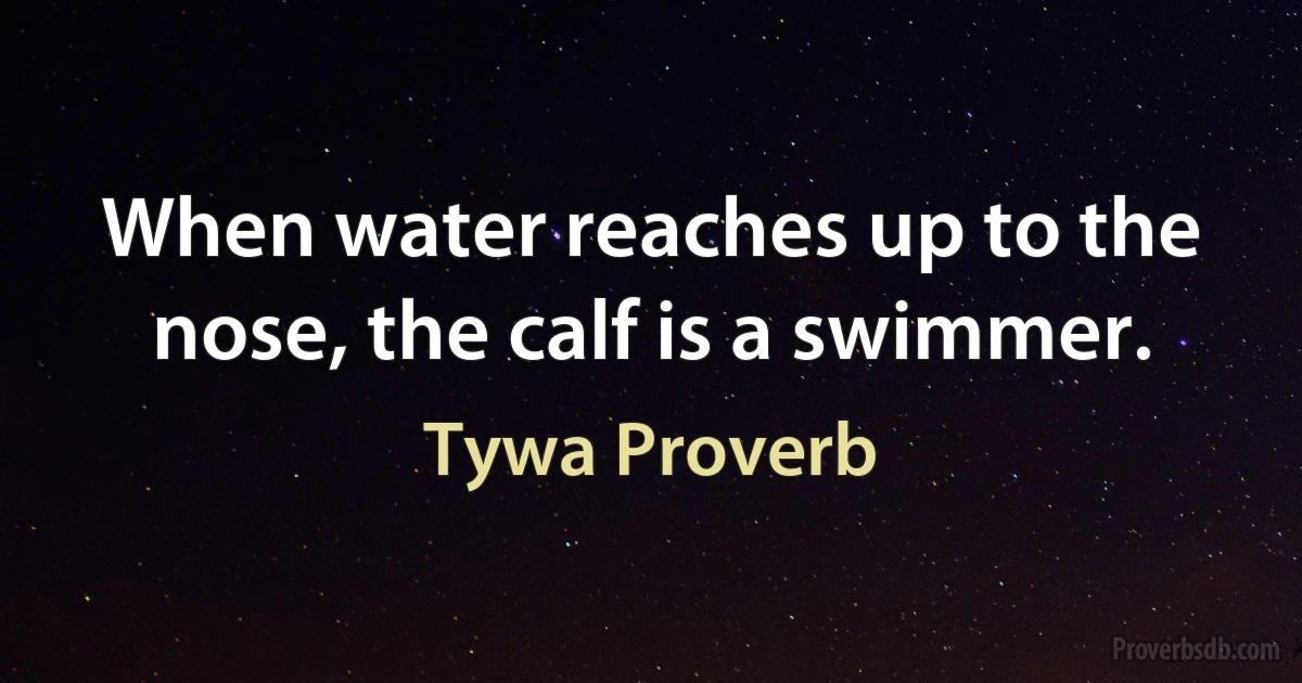 When water reaches up to the nose, the calf is a swimmer. (Tywa Proverb)