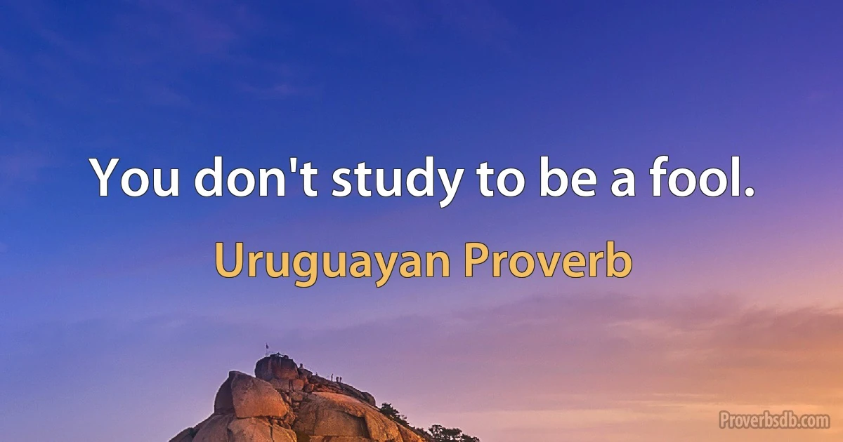 You don't study to be a fool. (Uruguayan Proverb)