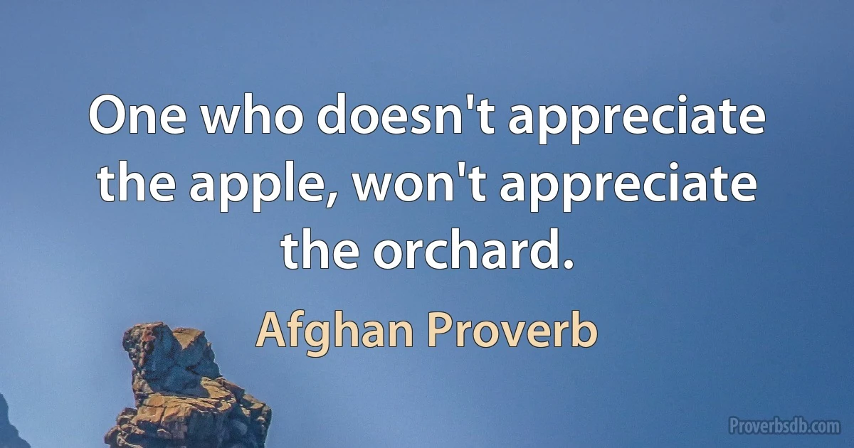 One who doesn't appreciate the apple, won't appreciate the orchard. (Afghan Proverb)