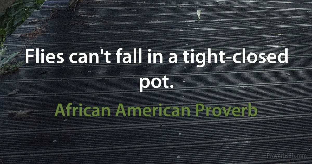 Flies can't fall in a tight-closed pot. (African American Proverb)