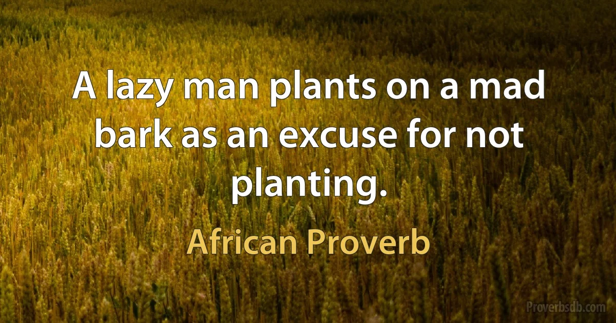 A lazy man plants on a mad bark as an excuse for not planting. (African Proverb)