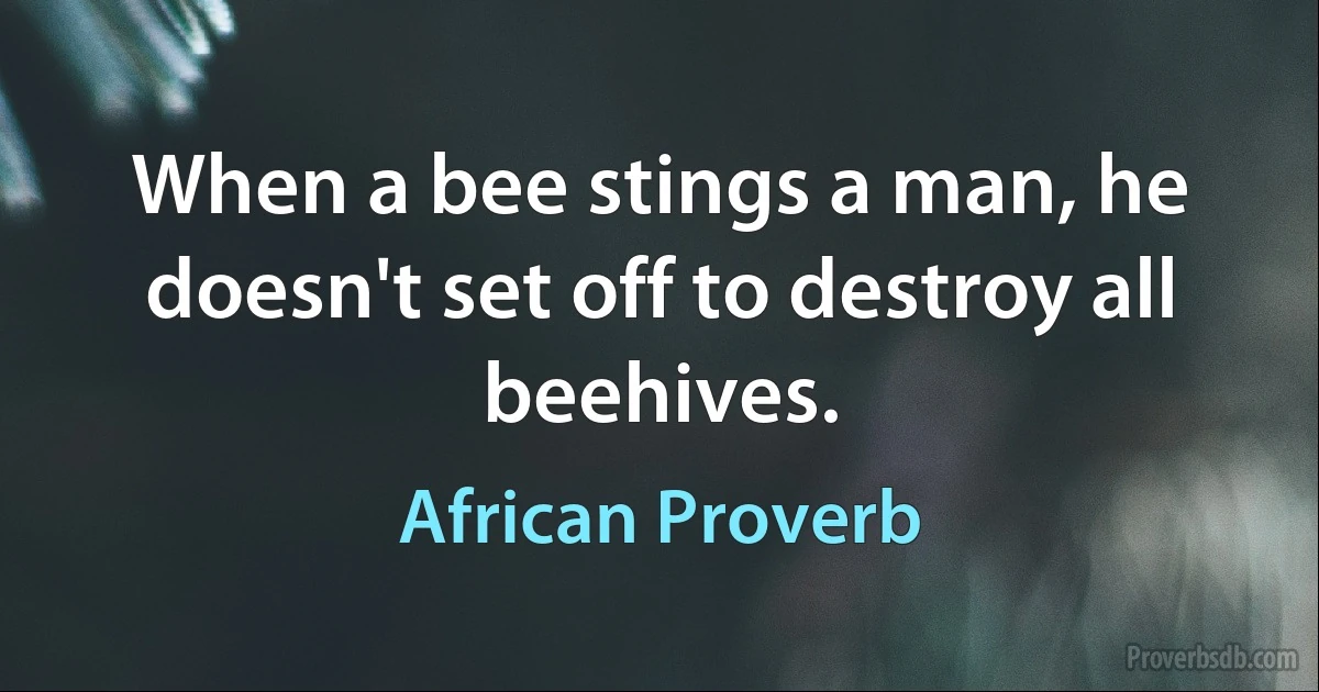 When a bee stings a man, he doesn't set off to destroy all beehives. (African Proverb)