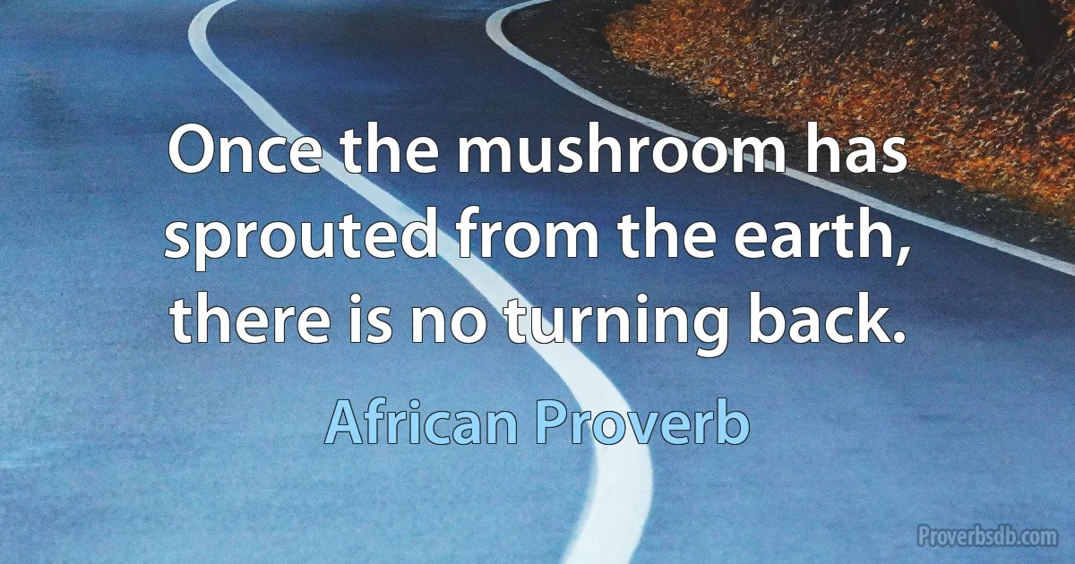 Once the mushroom has sprouted from the earth, there is no turning back. (African Proverb)