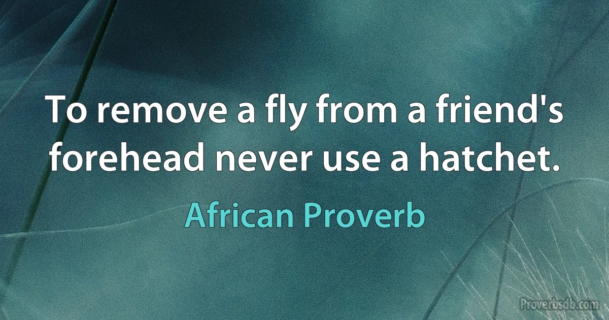 To remove a fly from a friend's forehead never use a hatchet. (African Proverb)