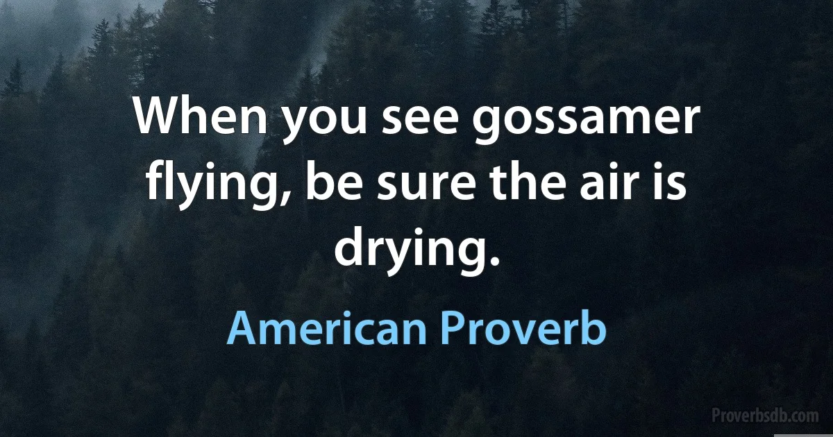 When you see gossamer flying, be sure the air is drying. (American Proverb)