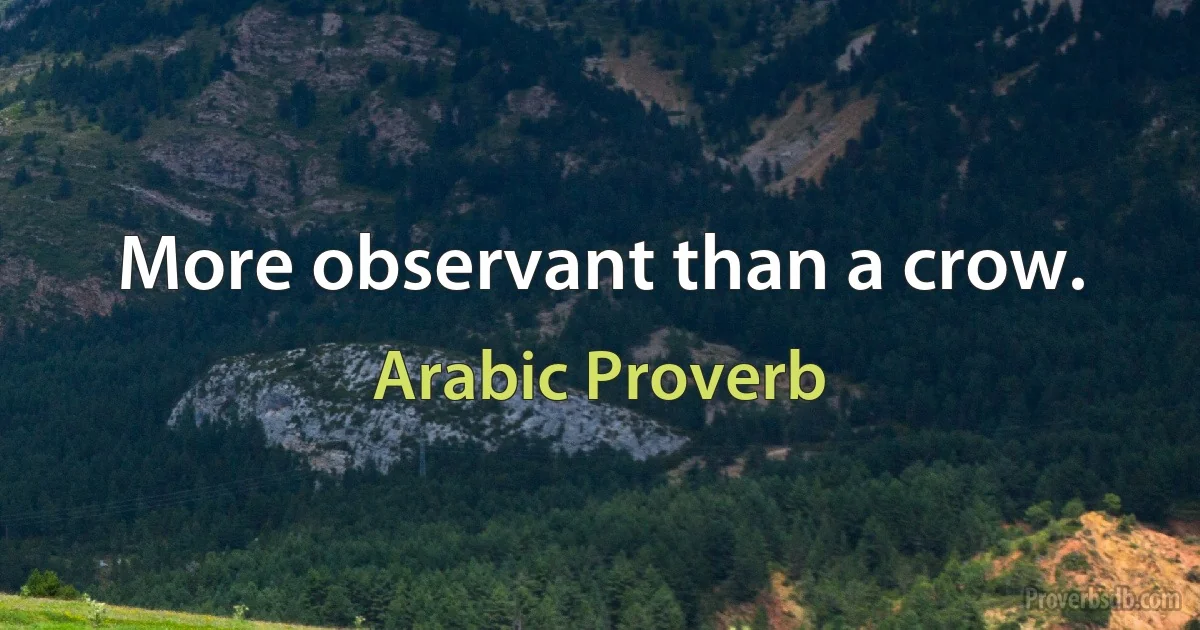 More observant than a crow. (Arabic Proverb)