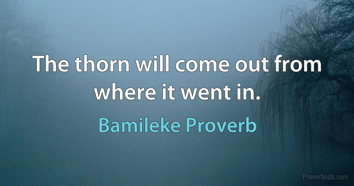 The thorn will come out from where it went in. (Bamileke Proverb)