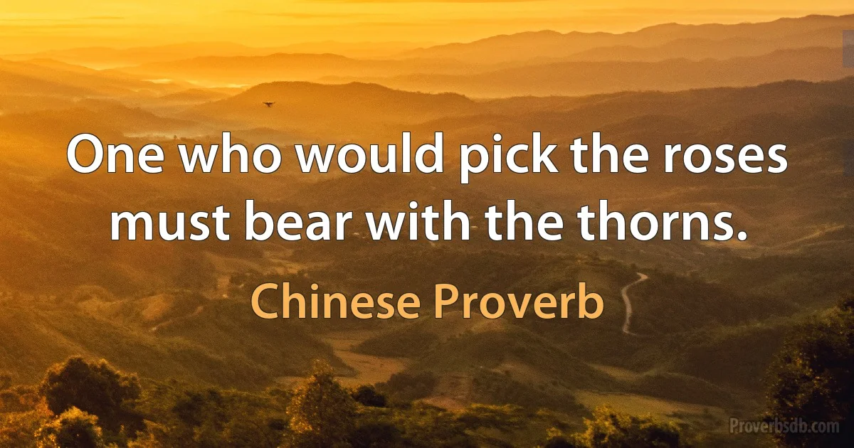 One who would pick the roses must bear with the thorns. (Chinese Proverb)