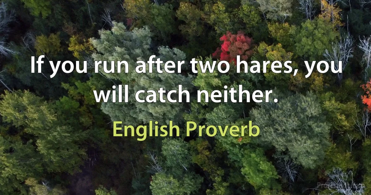 If you run after two hares, you will catch neither. (English Proverb)