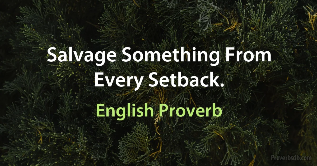 Salvage Something From Every Setback. (English Proverb)