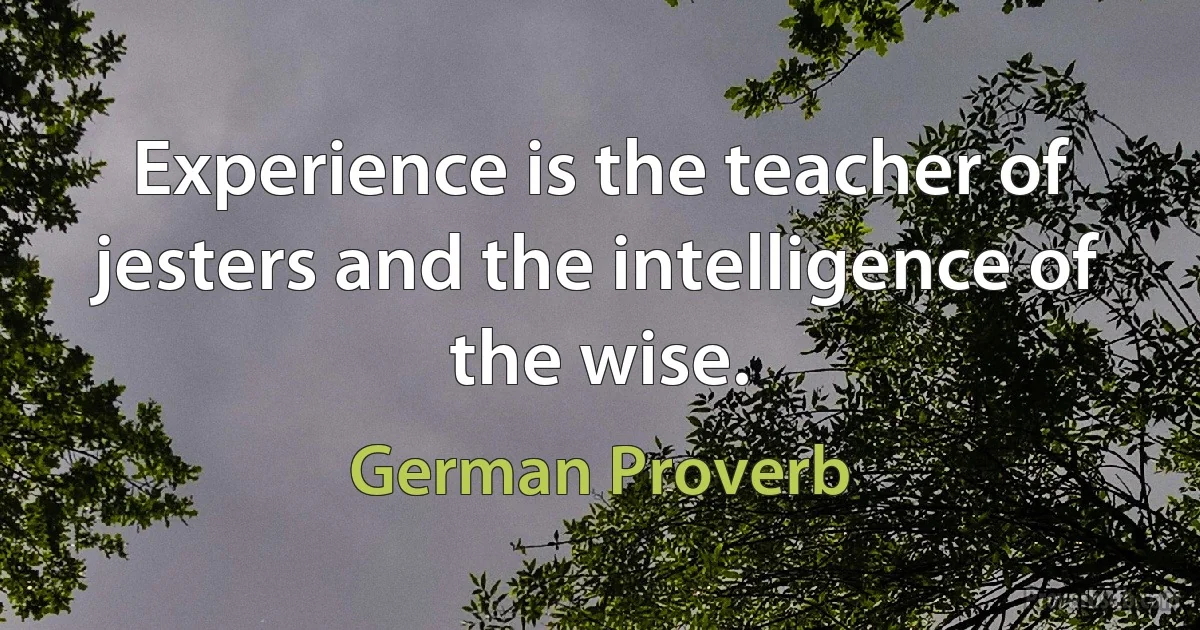 Experience is the teacher of jesters and the intelligence of the wise. (German Proverb)