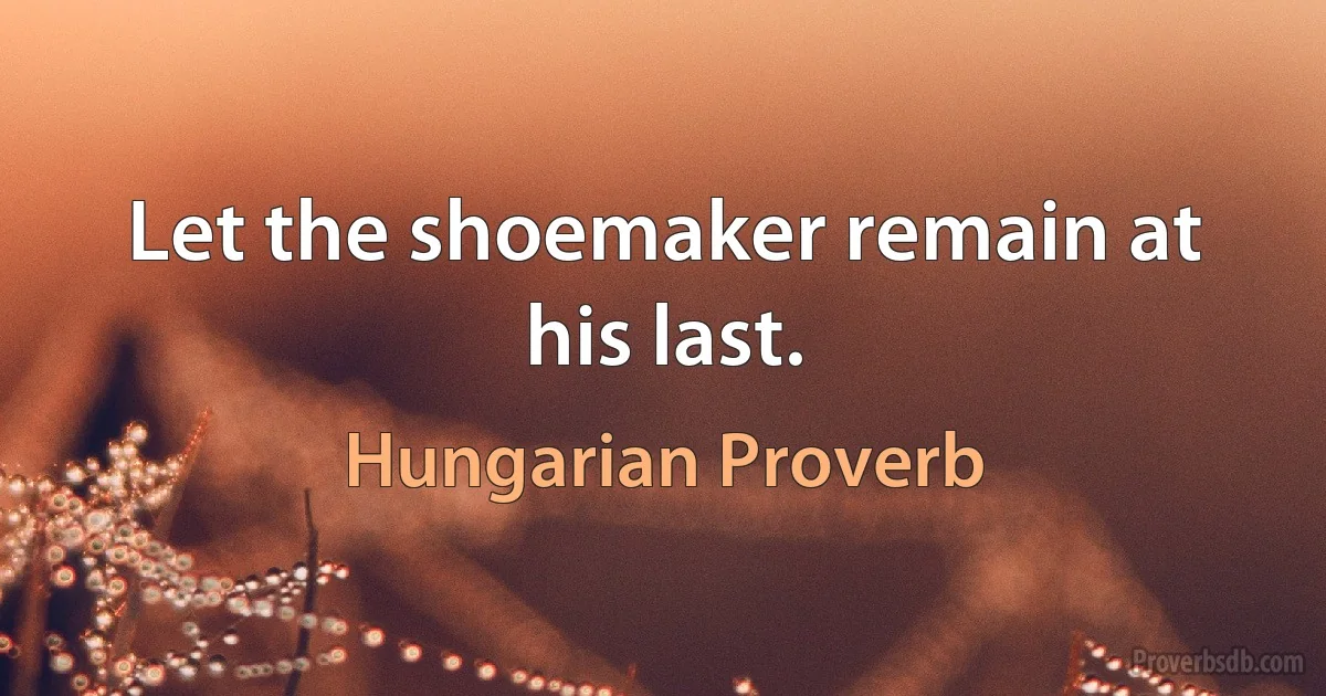 Let the shoemaker remain at his last. (Hungarian Proverb)