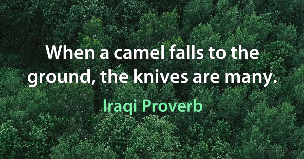 When a camel falls to the ground, the knives are many. (Iraqi Proverb)